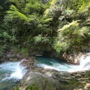 ヒメ日記 2025/08/10 14:47 投稿 つばさ 華椿（YESグループヨコハマ）