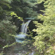 ヒメ日記 2025/08/11 15:55 投稿 つばさ 華椿（YESグループヨコハマ）