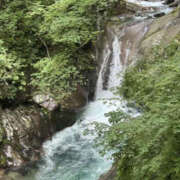 ヒメ日記 2025/08/12 13:50 投稿 つばさ 華椿（YESグループヨコハマ）