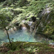 ヒメ日記 2025/08/19 21:45 投稿 つばさ 華椿（YESグループヨコハマ）