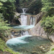 ヒメ日記 2025/08/31 14:50 投稿 つばさ 華椿（YESグループヨコハマ）