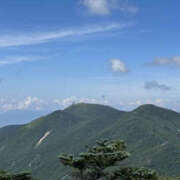 ヒメ日記 2025/09/01 14:40 投稿 つばさ 華椿（YESグループヨコハマ）