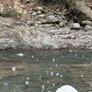 ヒメ日記 2025/09/09 15:46 投稿 つばさ 華椿（YESグループヨコハマ）