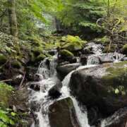 ヒメ日記 2025/09/21 14:33 投稿 つばさ 華椿（YESグループヨコハマ）