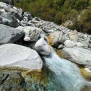 ヒメ日記 2025/10/15 15:21 投稿 つばさ 華椿（YESグループヨコハマ）