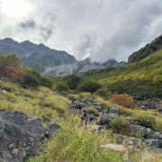 ヒメ日記 2025/10/16 15:30 投稿 つばさ 華椿（YESグループヨコハマ）