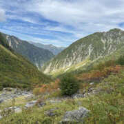 ヒメ日記 2025/10/18 14:40 投稿 つばさ 華椿（YESグループヨコハマ）