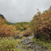 ヒメ日記 2025/10/20 16:27 投稿 つばさ 華椿（YESグループヨコハマ）