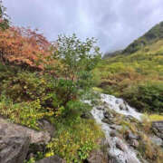 ヒメ日記 2025/10/22 15:55 投稿 つばさ 華椿（YESグループヨコハマ）