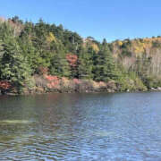 ヒメ日記 2025/10/29 17:18 投稿 つばさ 華椿（YESグループヨコハマ）