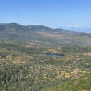 ヒメ日記 2025/10/30 15:36 投稿 つばさ 華椿（YESグループヨコハマ）