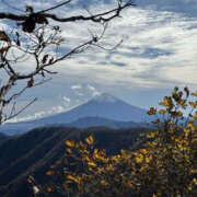 ヒメ日記 2025/11/02 18:48 投稿 つばさ 華椿（YESグループヨコハマ）