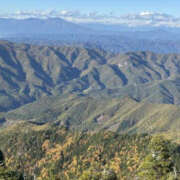 ヒメ日記 2025/11/09 14:26 投稿 つばさ 華椿（YESグループヨコハマ）