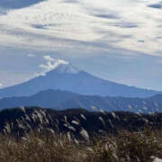 ヒメ日記 2025/11/12 15:37 投稿 つばさ 華椿（YESグループヨコハマ）