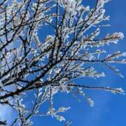 ヒメ日記 2025/11/22 16:22 投稿 つばさ 華椿（YESグループヨコハマ）