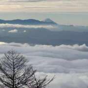 ヒメ日記 2025/11/23 14:41 投稿 つばさ 華椿（YESグループヨコハマ）