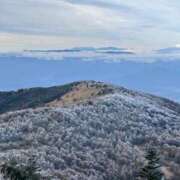 ヒメ日記 2025/11/26 15:30 投稿 つばさ 華椿（YESグループヨコハマ）