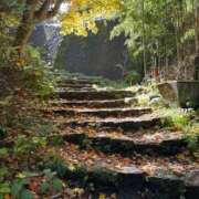 ヒメ日記 2025/11/28 15:38 投稿 つばさ 華椿（YESグループヨコハマ）