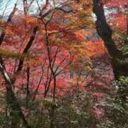 ヒメ日記 2025/11/29 12:24 投稿 つばさ 華椿（YESグループヨコハマ）