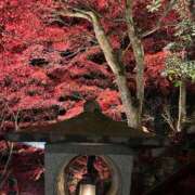 ヒメ日記 2025/11/30 14:42 投稿 つばさ 華椿（YESグループヨコハマ）