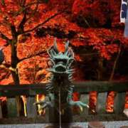 つばさ ♡ありがとう♡ 華椿(YESグループヨコハマ)