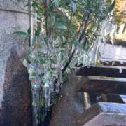 ヒメ日記 2025/12/10 15:13 投稿 つばさ 華椿（YESグループヨコハマ）