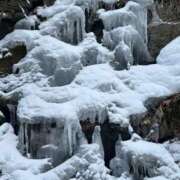 ヒメ日記 2026/01/21 15:57 投稿 つばさ 華椿（YESグループヨコハマ）