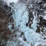 ヒメ日記 2026/01/24 14:34 投稿 つばさ 華椿（YESグループヨコハマ）