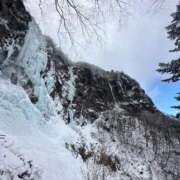 ヒメ日記 2026/02/01 14:56 投稿 つばさ 華椿（YESグループヨコハマ）