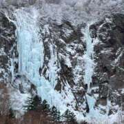 ヒメ日記 2026/02/05 16:58 投稿 つばさ 華椿（YESグループヨコハマ）