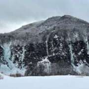 ヒメ日記 2026/02/07 14:48 投稿 つばさ 華椿（YESグループヨコハマ）