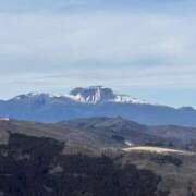 ヒメ日記 2026/02/14 16:52 投稿 つばさ 華椿（YESグループヨコハマ）