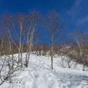 ヒメ日記 2026/02/18 16:25 投稿 つばさ 華椿（YESグループヨコハマ）