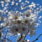 つばさ ♡ありがとう♡ 華椿（YESグループヨコハマ）