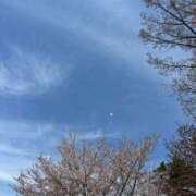 ヒメ日記 2026/04/27 16:01 投稿 つばさ 華椿（YESグループヨコハマ）