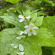 ヒメ日記 2026/07/05 14:48 投稿 つばさ 華椿（YESグループヨコハマ）
