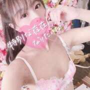 ヒメ日記 2023/08/03 10:56 投稿 ♡ユキ MEGA PALACE(メガパレス）