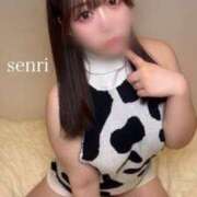 ヒメ日記 2025/06/11 15:04 投稿 せんり ふわふわコレクション