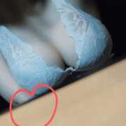 ヒメ日記 2025/04/24 14:42 投稿 うみ☆ 豊橋豊川ちゃんこ