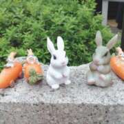 ヒメ日記 2025/05/31 15:22 投稿 うみ☆ 豊橋豊川ちゃんこ