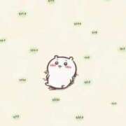 ヒメ日記 2025/06/02 21:02 投稿 うみ☆ 豊橋豊川ちゃんこ