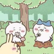 ヒメ日記 2025/06/19 16:42 投稿 うみ☆ 豊橋豊川ちゃんこ