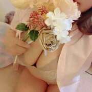 ヒメ日記 2025/08/19 00:42 投稿 うみ☆ 豊橋豊川ちゃんこ