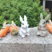 ヒメ日記 2026/01/08 19:22 投稿 うみ☆ 豊橋豊川ちゃんこ