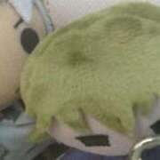 ヒメ日記 2026/04/04 16:12 投稿 うみ☆ 豊橋豊川ちゃんこ