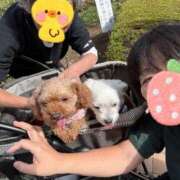 ヒメ日記 2025/10/18 17:40 投稿 あず 即トク奥さん