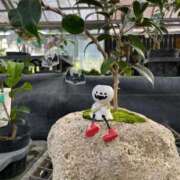 ヒメ日記 2026/01/09 23:20 投稿 あず 即トク奥さん