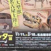 ヒメ日記 2023/11/07 12:08 投稿 五月（さつき） 熟女の風俗最終章 名古屋店