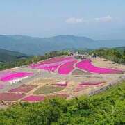 ヒメ日記 2024/05/21 14:10 投稿 五月（さつき） 熟女の風俗最終章 名古屋店