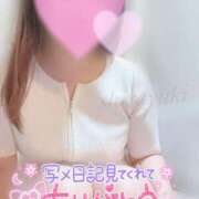 ヒメ日記 2025/07/22 18:42 投稿 白雪（しらゆき） 熟女の風俗最終章 名古屋店